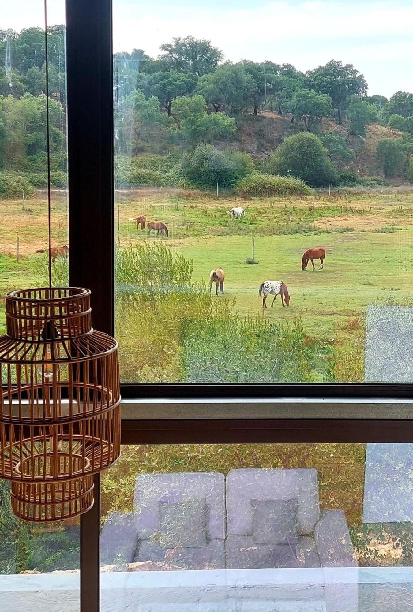 Herdade Do Moinho Novo Canha Exteriér fotografie